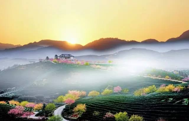 宣傳片制作投放的方式和優勢